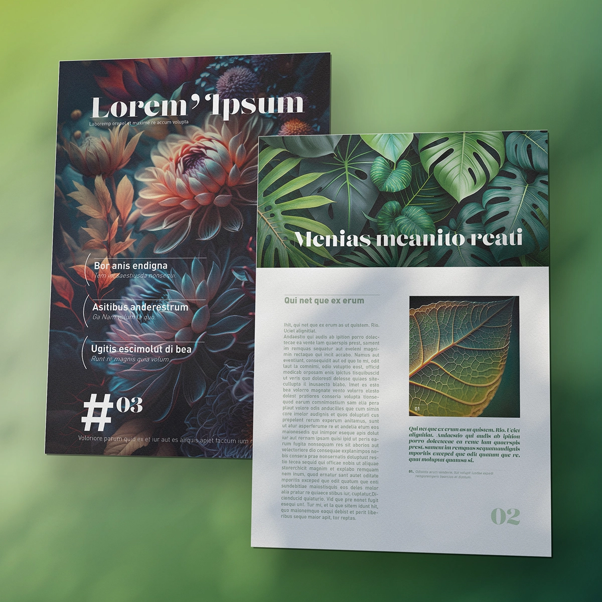 Graphisme_Mathias-Hima