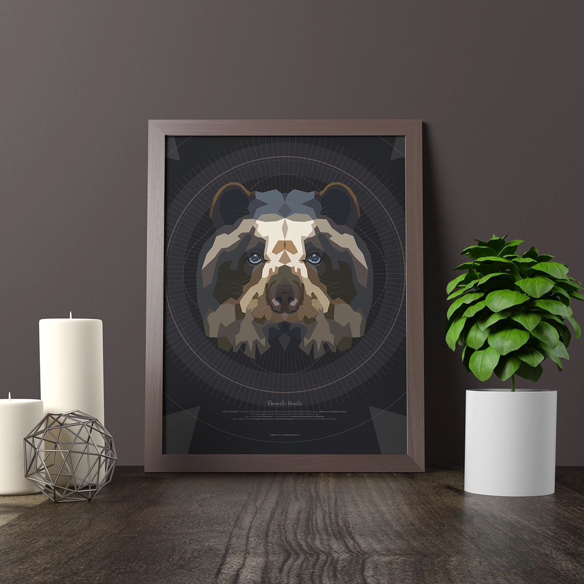 Illustrations_Mathias-Hima