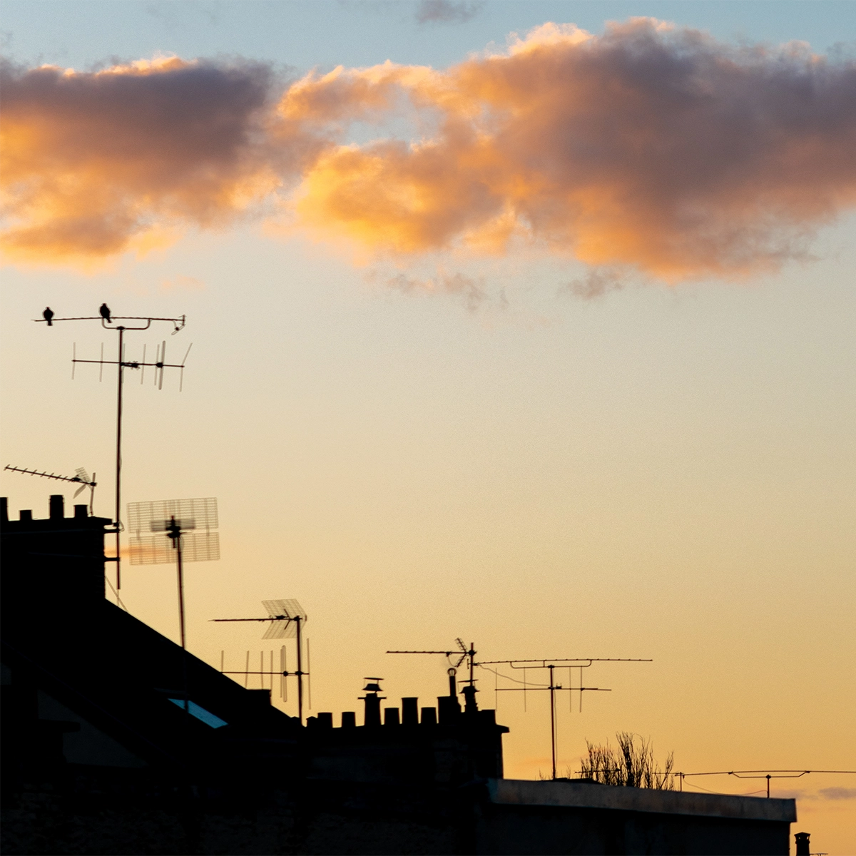 Photographie_Mathias-Hima